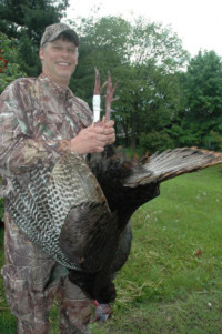 Wild turkey hunting in Ohio