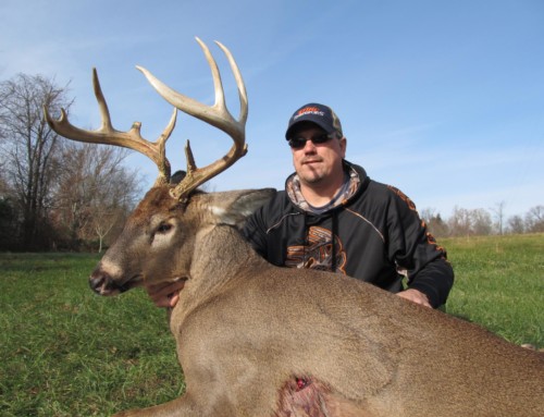 Whitetail deer bow hunting