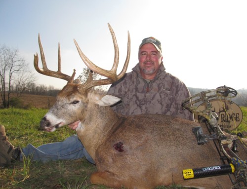 Whitetail deer bow hunting